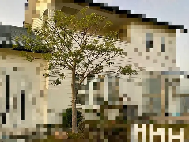 伸び放題の庭木もお任せください！対応地域外もご相談ください！サービスの画像