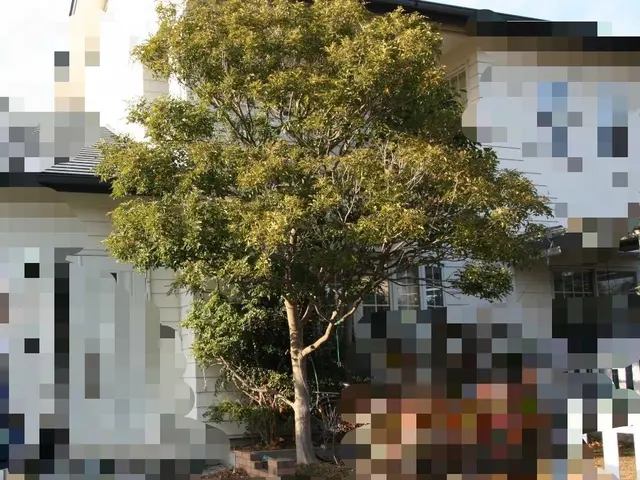 伸び放題の庭木もお任せください！対応地域外もご相談ください！サービスの画像