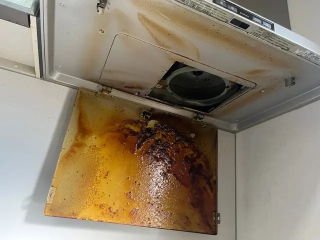 プロの技術で手早く丁寧な作業☆汚れ防止コーティング込みサービスの画像