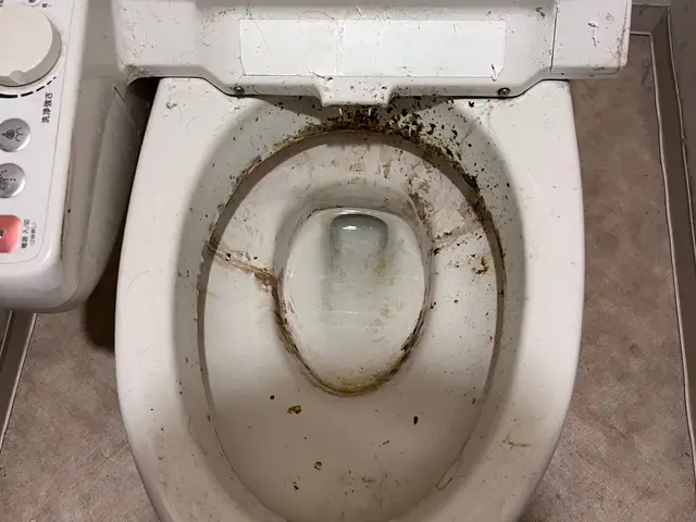 ★安心安全エコ洗剤使用★【店長のわたしがお伺いします！】サービスの画像