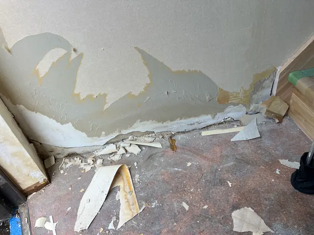 壁穴補修専門・職人歴30年のプロが丁寧に復元します！サービスの画像