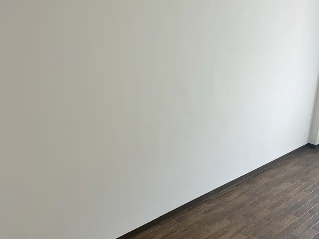 壁穴補修専門・職人歴30年のプロが丁寧に復元します！サービスの画像