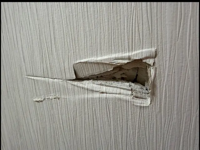 壁穴補修専門・職人歴30年のプロが丁寧に復元します！サービスの画像