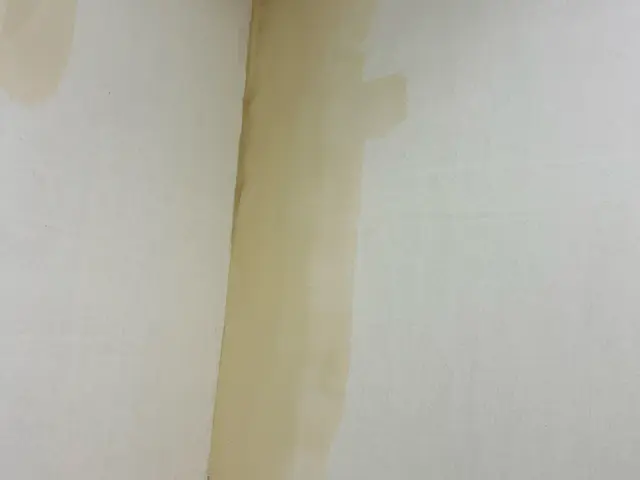 壁穴補修専門・職人歴30年のプロが丁寧に復元します！サービスの画像