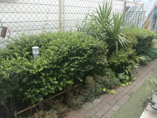 年中無休◎女性スタッフ同行可能◎対応地域外も対応可能サービスの画像