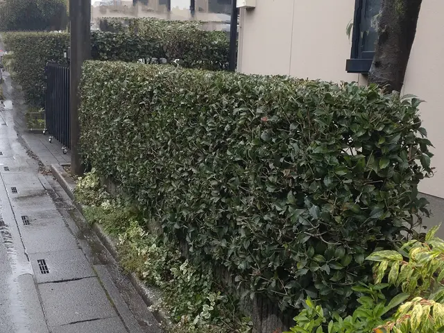 年中無休◎女性スタッフ同行可能◎対応地域外も対応可能サービスの画像