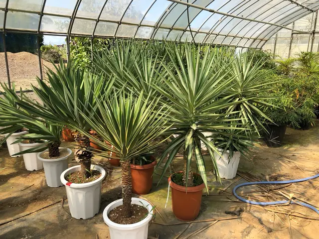 【職人歴15年の実績】予約から作業まで全て自社対応◎迅速丁寧に仕上げますサービスの画像