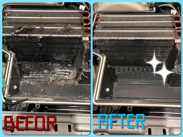 11月満員御礼！ご予約お早めに★乾燥不良排水つまりカビ除去★12月受付中！サービスの画像