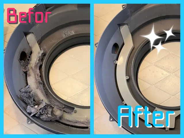 11月満員御礼！ご予約お早めに★乾燥不良排水つまりカビ除去★12月受付中！サービスの画像