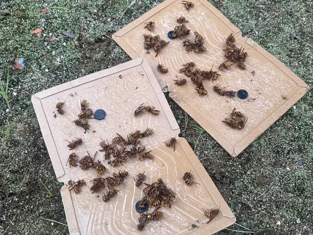 お客様のお力になります！経験と知識を活かして迅速丁寧に作業いたしますサービスの画像