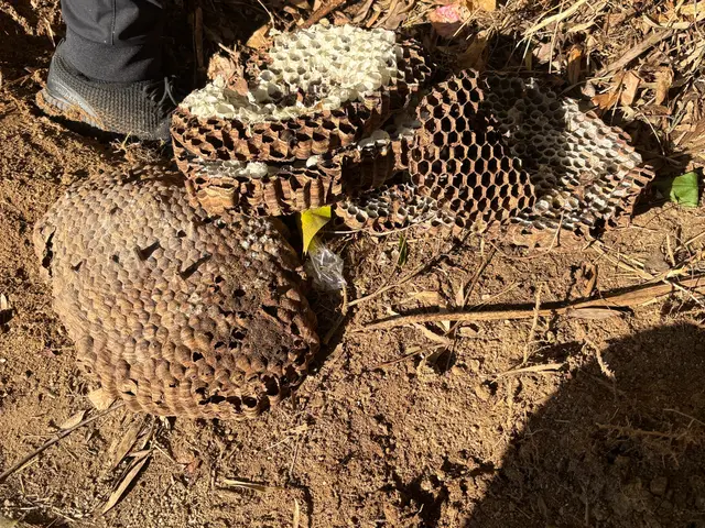 お客様のお力になります！経験と知識を活かして迅速丁寧に作業いたしますサービスの画像