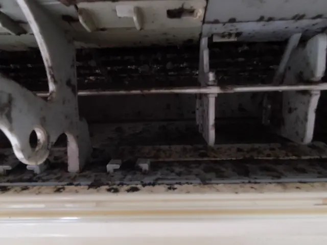 ★花粉やアレルギーに効果的！複数台の依頼で防カビコート剤無料！★話しやすい人柄★サービスの画像