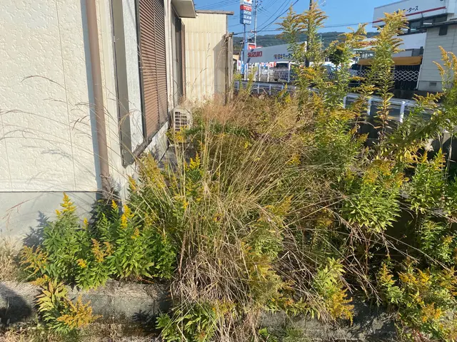 ◆業歴10年以上の経験と実績◆損害保険加入◆懇切丁寧がモットーです！！サービスの画像