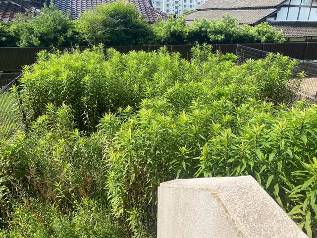 ◆業歴10年以上の経験と実績◆損害保険加入◆懇切丁寧がモットーです！！サービスの画像