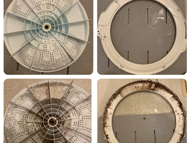 ★洗濯機スッキリしませんか？★黒カビ、ワカメ、柔軟剤の残りカス全部取りますサービスの画像