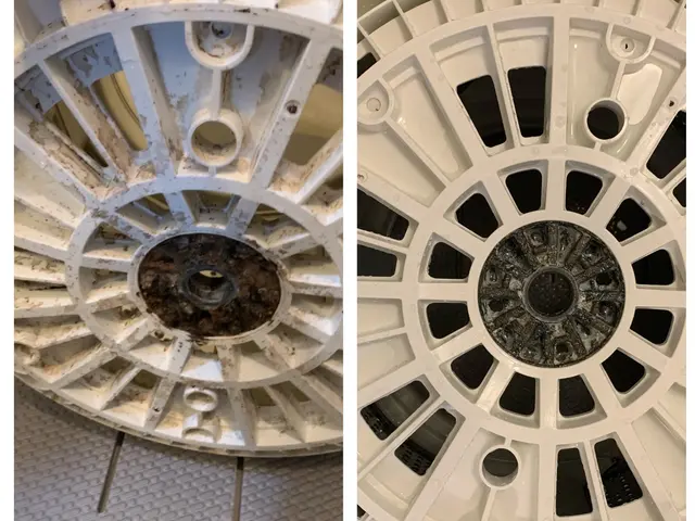 ★洗濯機スッキリしませんか？★黒カビ、ワカメ、柔軟剤の残りカス全部取りますサービスの画像