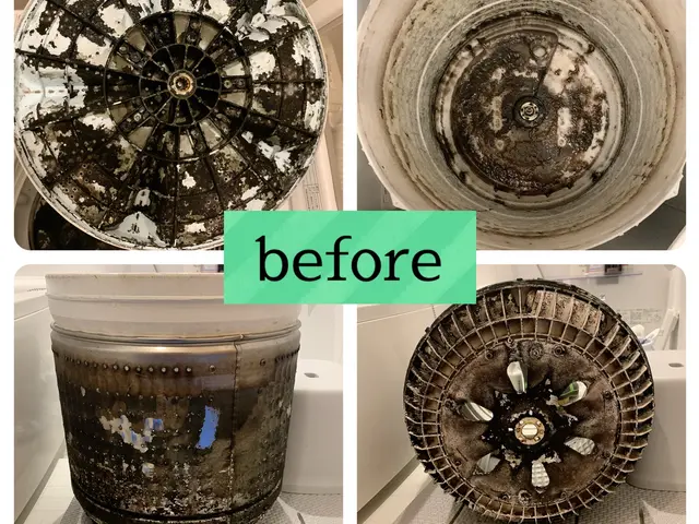 ★洗濯機スッキリしませんか？★黒カビ、ワカメ、柔軟剤の残りカス全部取りますサービスの画像