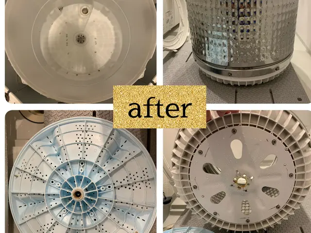 ★洗濯機スッキリしませんか？★黒カビ、ワカメ、柔軟剤の残りカス全部取りますサービスの画像