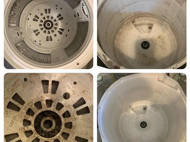 ★洗濯機スッキリしませんか？★黒カビ、ワカメ、柔軟剤の残りカス全部取りますサービスの画像