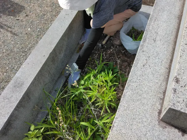 すべて自社対応！駐車代は当店が負担◎営業時間外もご相談ください。サービスの画像