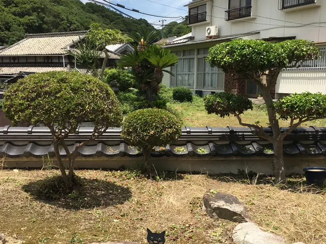 《呉市限定》女性スタッフ同行OK！駐車場代は当店負担◎安心の保険加入済みサービスの画像