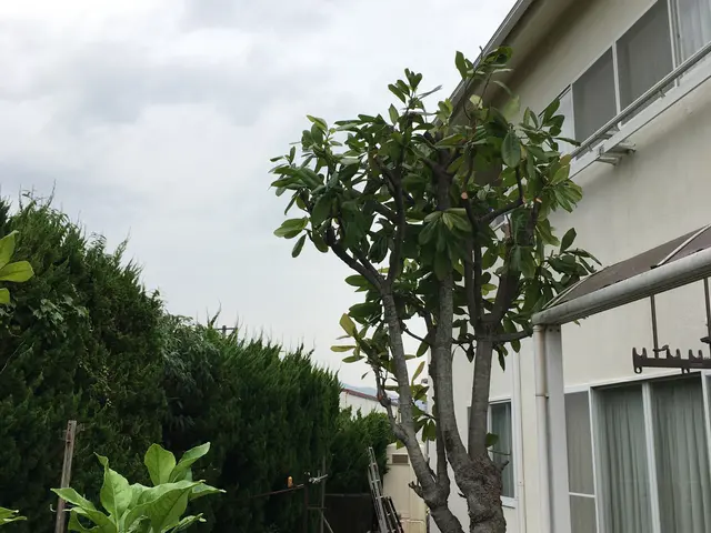 《呉市限定》女性スタッフ同行OK！駐車場代は当店負担◎安心の保険加入済みサービスの画像