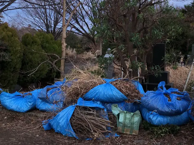 【冬の間にお庭の雑草をキレイに！】空き家対応・防草対策のご相談もお気軽に◉サービスの画像