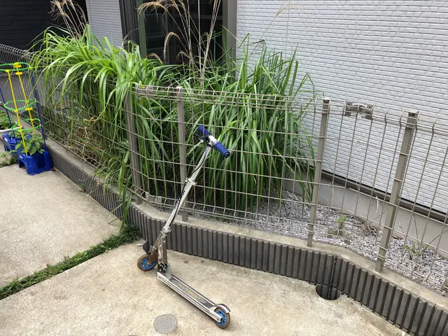 【冬の間にお庭の雑草をキレイに！】空き家対応・防草対策のご相談もお気軽に◉サービスの画像