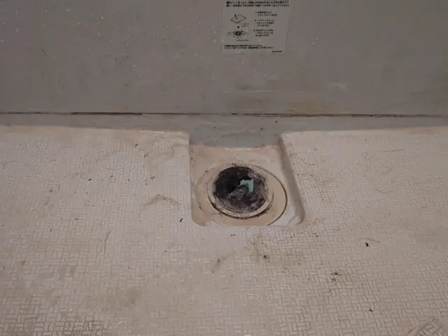 関西圏  簡易清掃(引越、分別作業と不用品回収ご希望は、別料金)サービスの画像