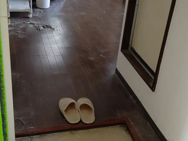 関西圏  簡易清掃(引越、分別作業と不用品回収ご希望は、別料金)サービスの画像