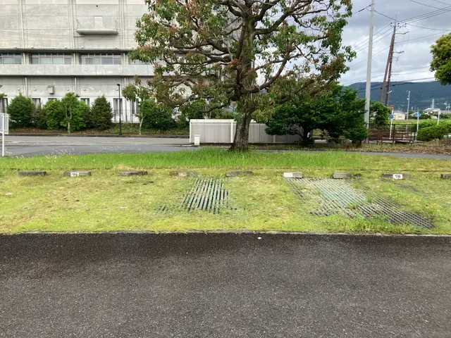 2000件以上の実績！緑地の健康と美しさを守る植物のプロサービスの画像