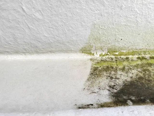 高圧洗浄で駐車場、お家を美しく蘇らせます。サービスの画像