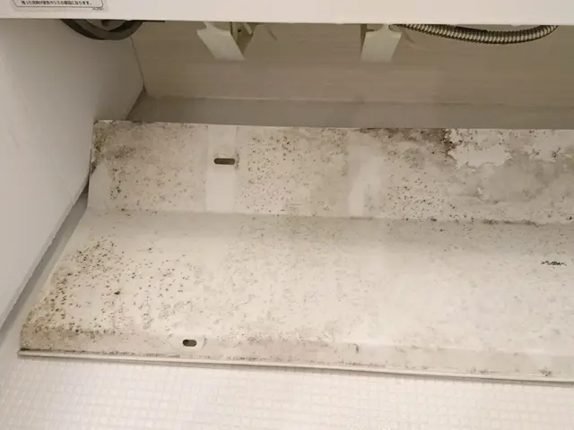 綺麗なお風呂でバスタイムを快適に！PayPay決済可！サービスの画像