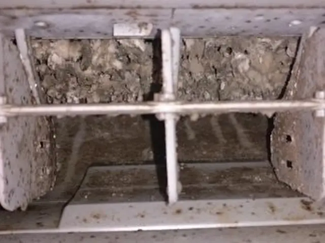 ◎抗菌仕上げサービス◎安心✩安全の自然派セーフティエアコンクリーニングサービスの画像