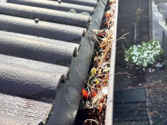•雨樋のつまり解消•部分補修•雨樋の清掃サービスの画像