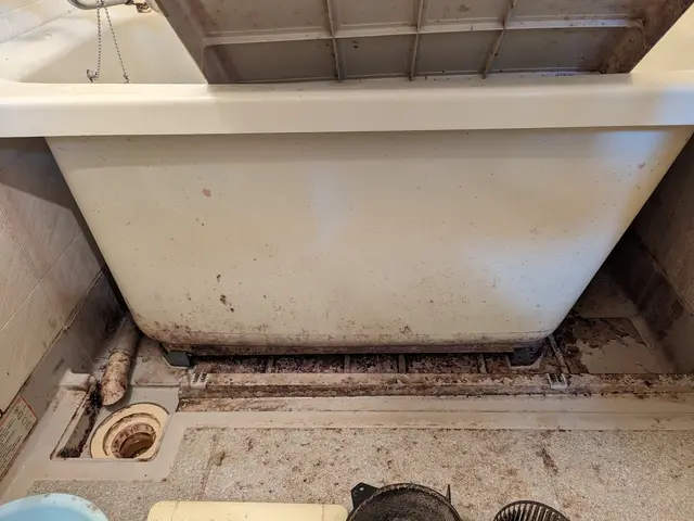 お風呂のカビ、皮脂汚れ、水垢ウロコは当店におまかせ！洗剤と道具にこだわってます！サービスの画像