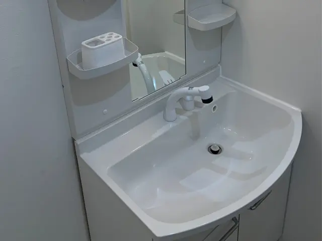 隅々までピカピカ！鏡・蛇口・シンク洗面ボウルの頑固な水垢も スッキリ！サービスの画像