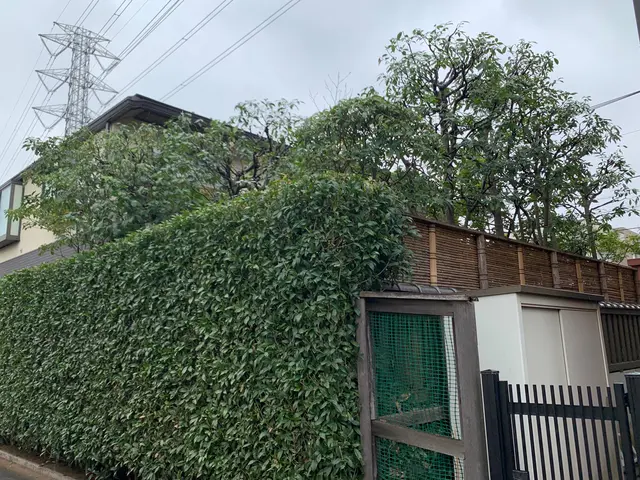 業界経験10年以上！7000件以上の実績を誇る、店長自らが伺う庭木剪定サービス！サービスの画像