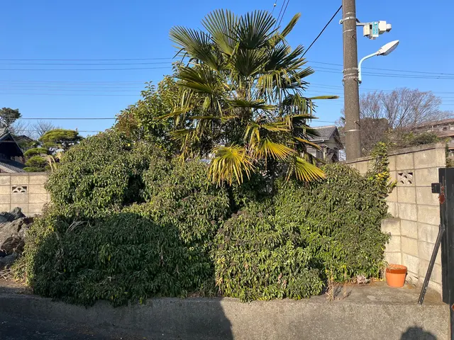 【職人歴４３年！】実績豊富な店長の私がお伺います！駐車代は当店負担！サービスの画像