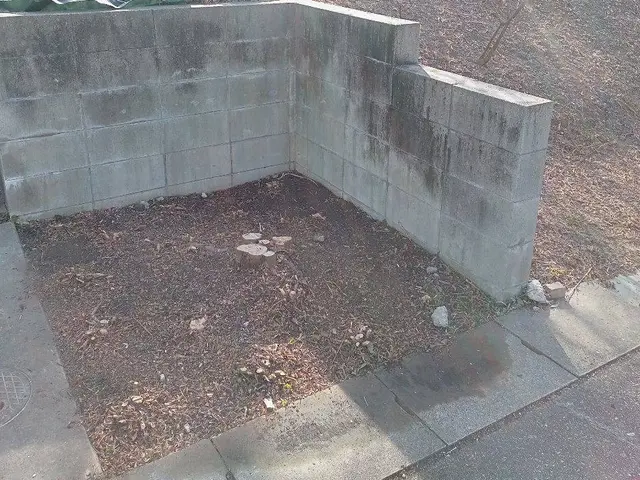 【PayPay・カード決済OK】庭木1本だけでもOK。3本以上大幅お値引有り！サービスの画像