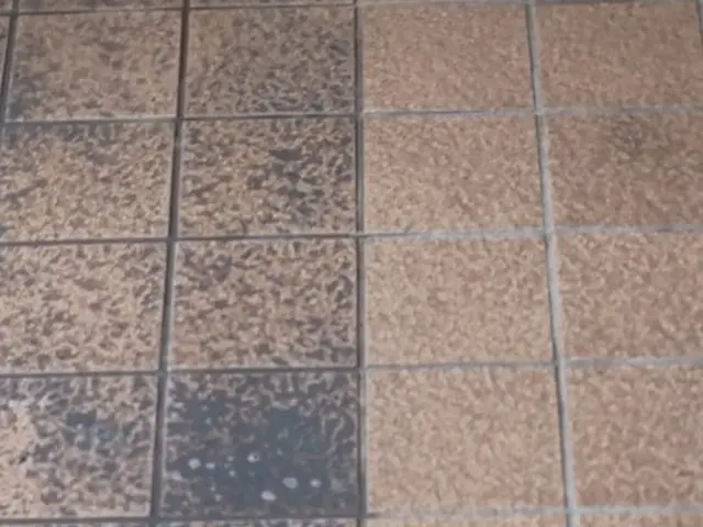 ポリッシャー洗浄と薬品で汚れをしっかり除去します！サービスの画像