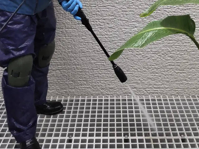 高圧洗浄機でフルクリーニング、網戸もとてもキレイになります。サービスの画像