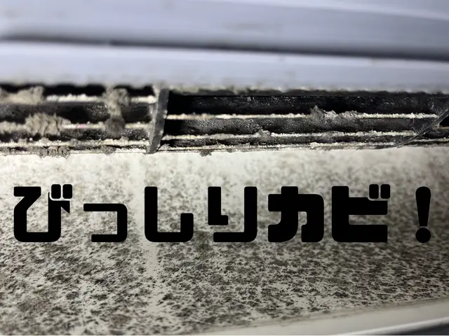 カビ、ホコリ、臭いチェック！【5月第二まで】【先着15名】2台目〜1000円引きサービスの画像