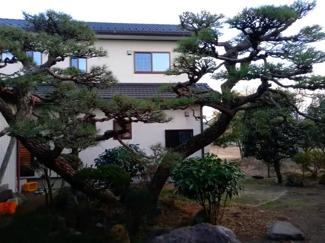 あなたのお庭、綺麗にします。コミュニケーションを第一に、癒しの庭を提案します。サービスの画像