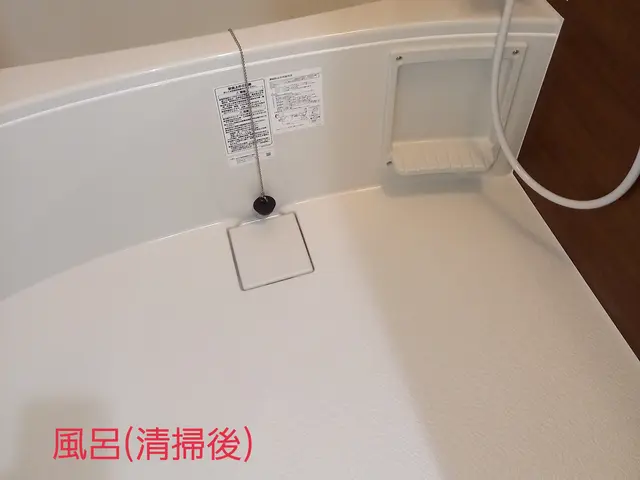 損害保険加入済◎プロに任せてスッキリ快適◎営業時間外・対応地域外もご相談歓迎！サービスの画像