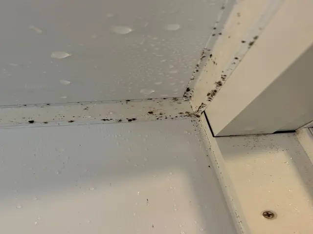 お客様のお力になります！経験と知識を活かして迅速丁寧に作業いたします！サービスの画像