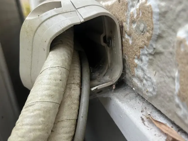 【環境省の認定事業者】☆お見積り無料！即日ご対応可能！完全駆除をお約束します！サービスの画像