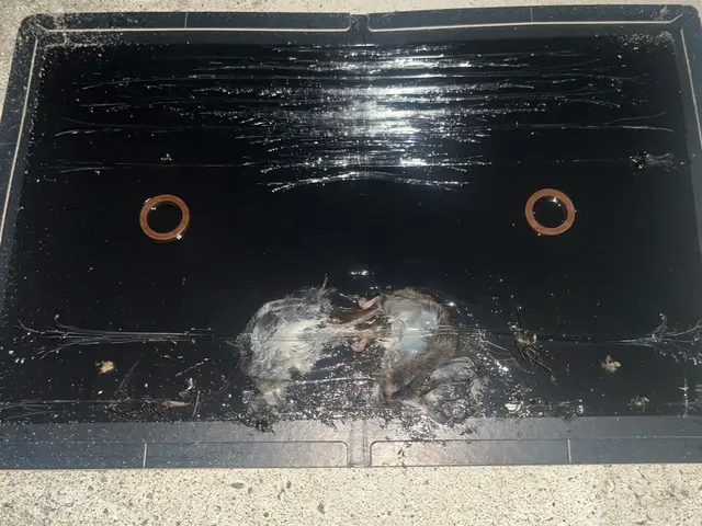 【環境省の認定事業者】☆お見積り無料！即日ご対応可能！完全駆除をお約束します！サービスの画像