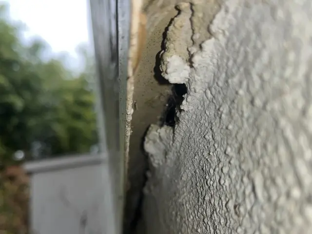 【環境省の認定事業者】☆お見積り無料！即日ご対応可能！完全駆除をお約束します！サービスの画像