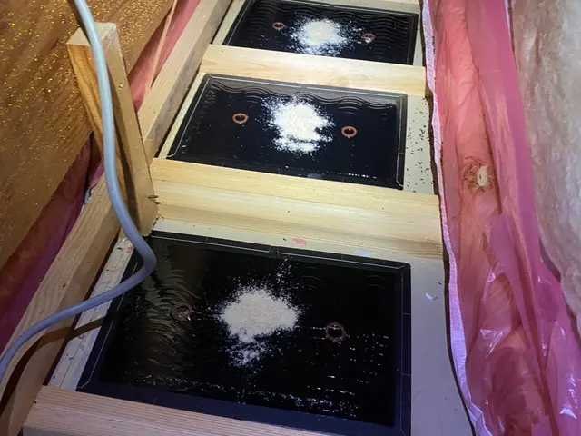 【環境省の認定事業者】☆お見積り無料！即日ご対応可能！完全駆除をお約束します！サービスの画像